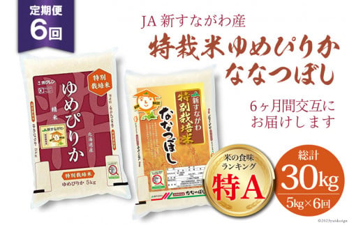 
                  米 令和8年 ゆめぴりか ななつぼし 特栽米 6回 定期便 JA新すながわ産 5kg×6回 総計30kg [ホクレン商事 北海道 砂川市 12260797] 令和8年産 定期 お米 コメ 白米 ごはん ご飯 国産  米 こめ kome 夢ぴりか おこめ
                