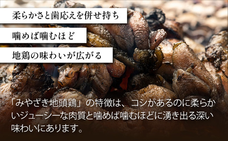 U-A2 ＜認定農家直送＞のびのびと育てたみやざき地頭鶏の炭火焼き(計500g・100g×5P)お酒のつまみやサラダと【権代ファーム】