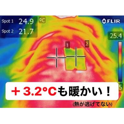 ふるさと納税 足利市 保温力でいつもの布団が暖かい　シャネボウ　ふわっと暖暖　大人のベッドカバー |  | 01