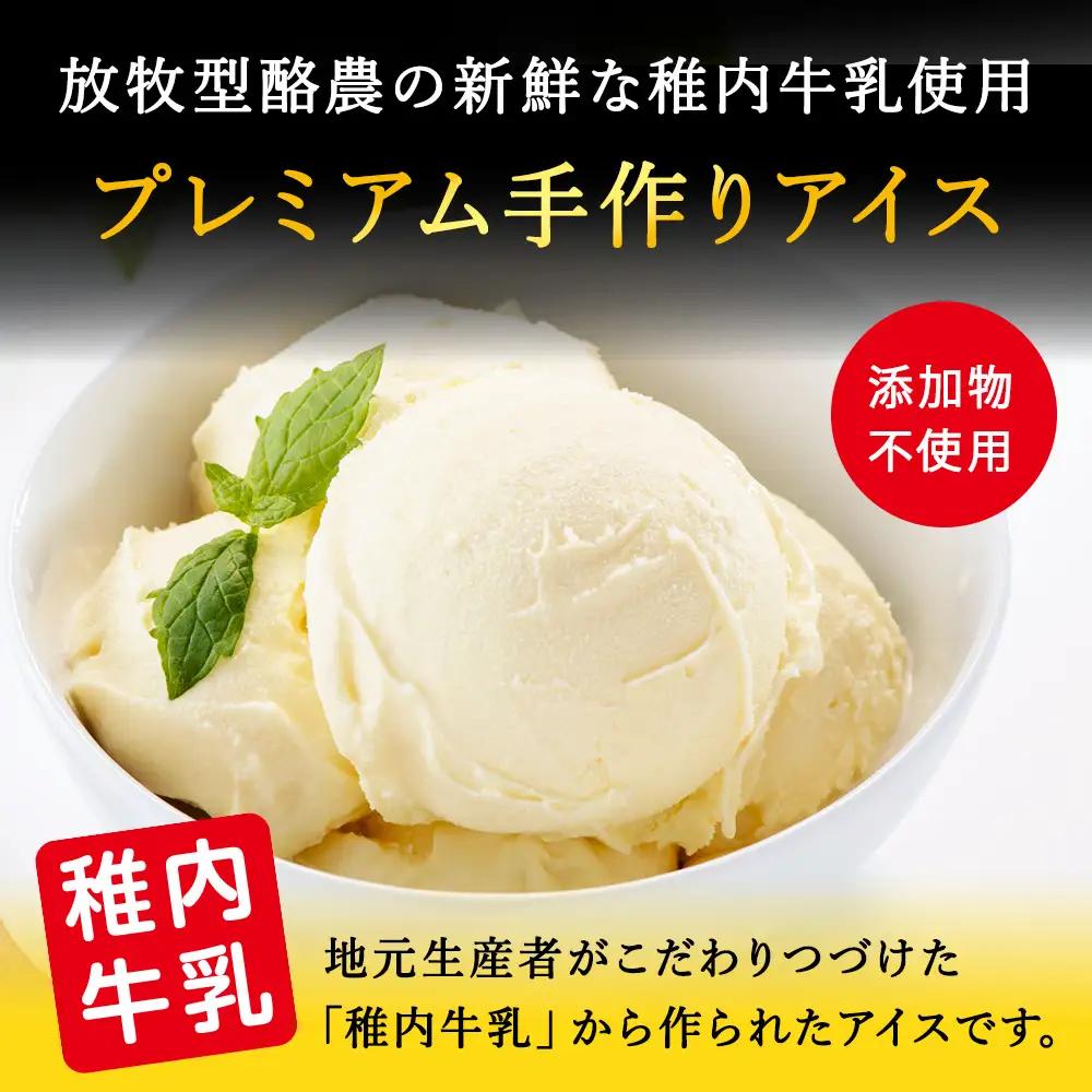 【業務用】稚内牛乳アイスクリーム2000mlバニラ×宗谷の塩2個セット【配送不可地域：離島・沖縄県】