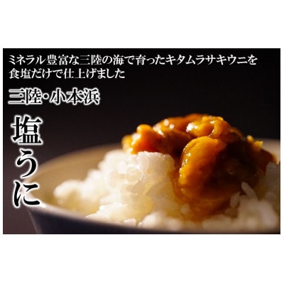 三陸小本浜産塩ウニ100g【配送不可地域：離島】【1427512】