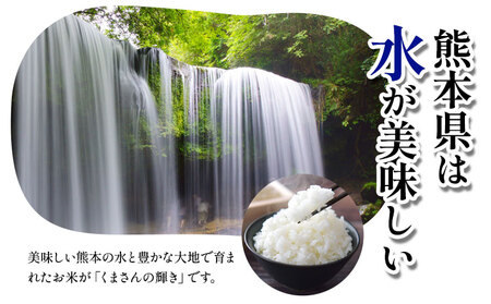 令和5年産 米 お米 こめ 荒木さんちのお米 くまさんの輝き 5kg 荒木農産 熊本県産 御船町《30日以内に発送予定(土日祝除く)》 コメ おこめ 熊本 御船 御船 白米 ごはん