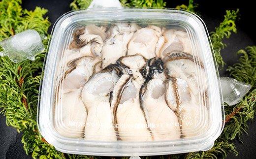 鮮度抜群！釧路管内産濃厚むき牡蠣（生食用）200g×1、300g×1 ふるさと納税 かき 牡蠣
