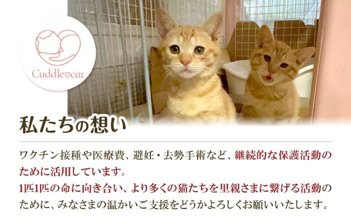 ねこ ネコ 猫 保護猫 猫グッズ 小物 雑貨 かわいい バッグ トートバッグ グッズ 手作り ハンドメイド 人気 おすすめ