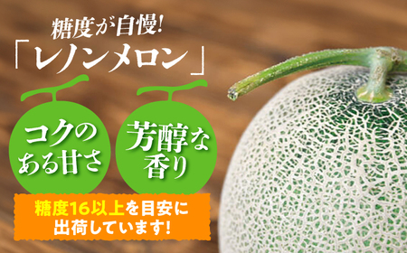 【先行予約】【7月下旬から8月上旬に順次発送】　メロン 2玉 計3kg以上（1玉 約1.6kg以上）赤肉 メロン レノン 糖度16度以上 フルーツ 三次市/なちゅbio[APCA001]