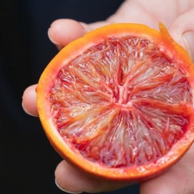 ふるさと納税 大崎上島町 【2月下旬〜3月発送】 大崎上島産 　オーガニックブラッドオレンジ 約3kg　(有機JAS認証) |  | 01
