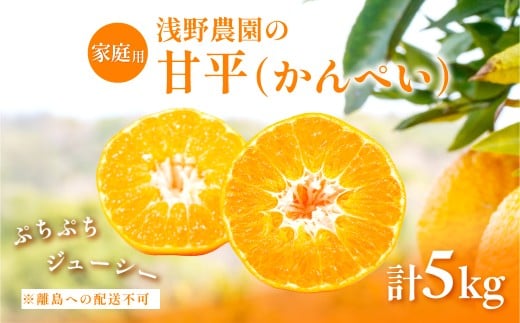 【先行予約】【数量限定】【家庭用】浅野農園の甘平（かんぺい）5kg ※離島への配送不可（2026年2月中旬頃より順次発送予定） 【 ふるさと納税 人気 おすすめ ランキング 柑橘 みかん ミカン フルーツ 果物 愛媛 有名 代表 高級 愛媛県産 愛媛みかん 浅野農園 愛媛県 伊方町 送料無料 】IKTAC027