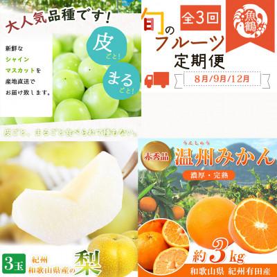 ふるさと納税 有田川町 【発送月固定定期便】紀州和歌山産旬のフルーツセットB(シャイン・梨・みかん)全3回