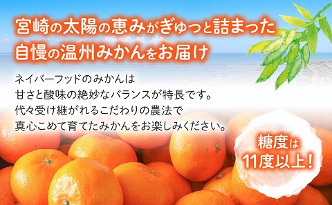 《2026年～2027年発送先行予約》【数量・期間限定】温州みかん15kg 果物 温州みかん みかん ミカン 糖度11度以上 ネイバーフッド 柑橘