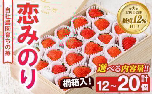 
            ＜先行予約受付中！2026年1月以降順次発送予定＞＜内容量が選べる！＞桐箱入！自社農園産いちご 恋みのり(計12～20個) 鹿児島 阿久根 自社農園 果物 フルーツ イチゴ いちご 苺 恋みのり 贈答用 ギフト 桐箱 デザート 期間限定【農園ガーデン空】
          