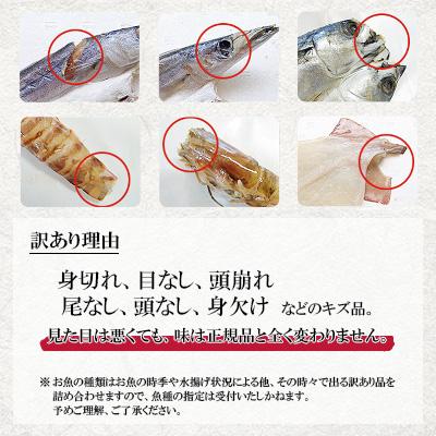 ふるさと納税 長崎市 【毎月定期便】味くらべ訳あり干物&西京漬け 全6回 |  | 02