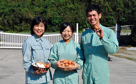 B-4【36か月定期便】「夢そだち60個」厳選飼料を食べて育った自社養鶏場の新鮮卵を♪