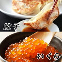 【ふるさと納税】餃子25個×1P、いくら醤油漬け100g×1P A-76020