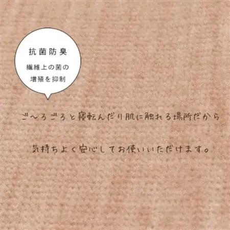 カーペット 日本製 抗菌防臭 犬 猫 ペット対応 ビオラ 176×261cm 江戸間 3畳 ベージュ【1519443】