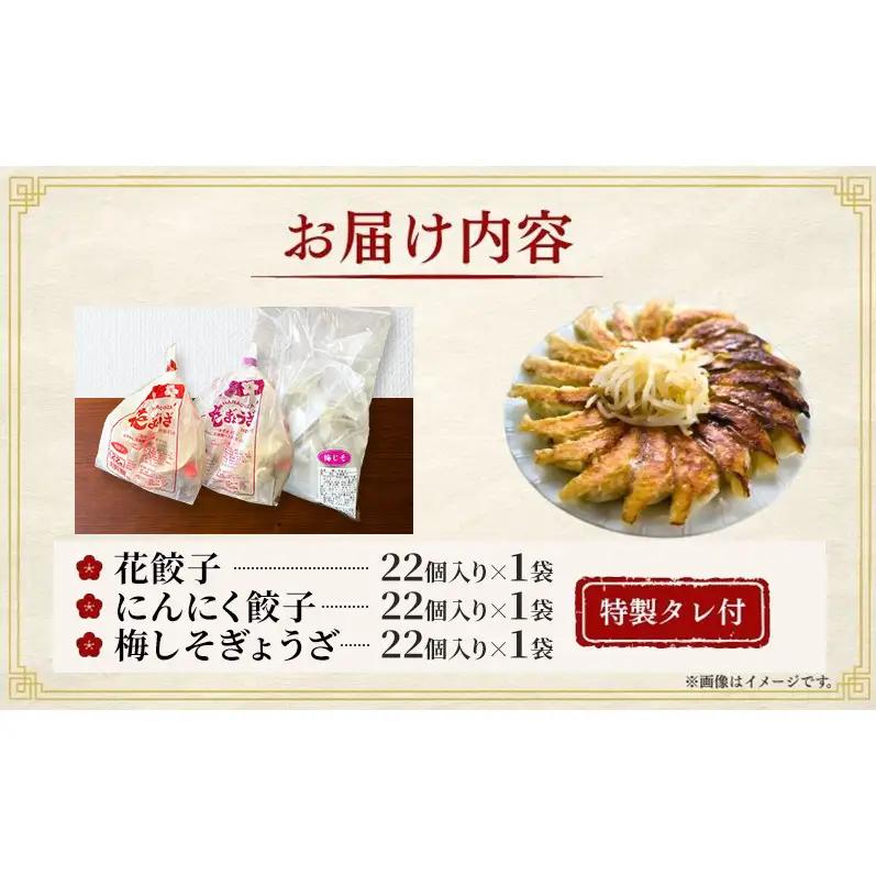 「花ぎょうざ」3種食べ比べセット 66個（各22個×3種）6か月連続お届け 餃子 冷凍餃子 冷凍ギョーザ 手作り餃子 ギョーザ セット 食べ比べ 点心 中華 中華料理 惣菜 簡単調理 加工食品 静岡県