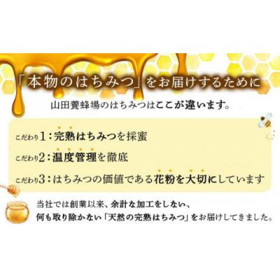 ふるさと納税 鏡野町 山田養蜂場 里山の百花蜂蜜300g(プラ容器入)×1本 (3643) |  | 03