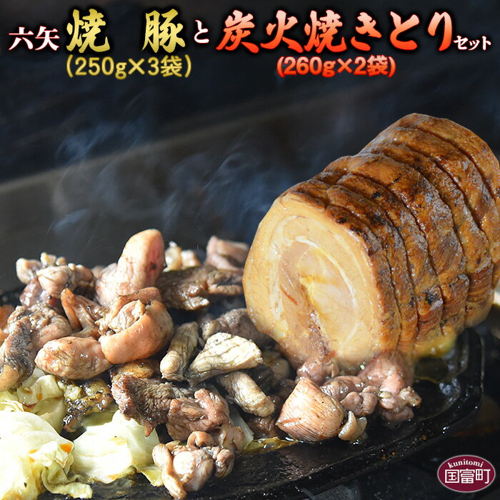 【ふるさと納税】＜六矢の炭火焼きとり(260g×2袋)＋焼豚(250g×3袋)セット＞※入金確認後、翌月末迄に順次出荷します 鶏肉 豚肉 チャーシュー 秘伝のタレ 焼き鳥 やきとり 真空パック 炭火焼き 自家生産飼育 宮崎県 国富町 0228_mt【冷凍】