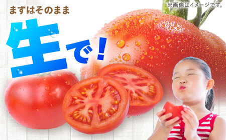 【2026年7月中旬以降順次発送】 トマト 4kg | 野菜 トマト とまと やさい 北海道 産地直送 | 道の駅 真狩フラワーセンター[BPAM078]