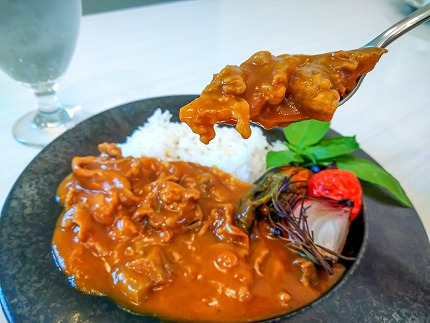 碧南DELIシリーズ お肉惣菜 無添加 とろける牛すじカレー 約800g(200g×4食) 洋食 カレー 国産 和牛 牛肉 中辛 野菜 煮込み　H080-052
