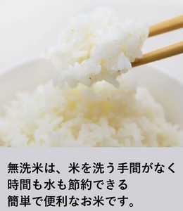 米 コシヒカリ 無洗米 300g × 3袋