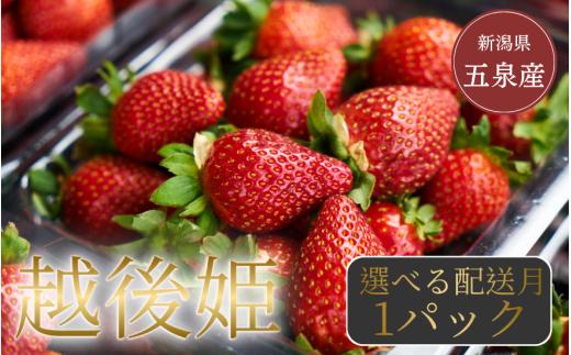 【令和7年4月にお届け】数量限定 越後姫 苺 いちご 1パック 350g (9～18粒) 〈令和7年2月上旬以降順次発送〉新潟県 五泉市 農園 小嶋屋