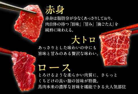 鮮馬刺しスライス＆馬肉全10種セット 1kg 千興ファーム 馬肉  《60日以内に出荷予定(土日祝除く)》  ---sm_fsenslbns_60d_23_22500_1kg---