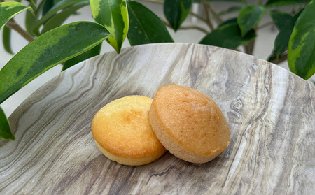 PINKフィナンシェ1箱（7個入） 沖縄 おきなわ おかし お菓子 焼き菓子 しっとり 人気 ふるさと納税 送料無料 お土産 お取り寄せ スイーツ 名護市 なご 7個入り シークワァーサー マンゴー 