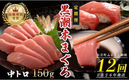 
            【定期便12回】日本一!黒潮本まぐろ 中トロ
          