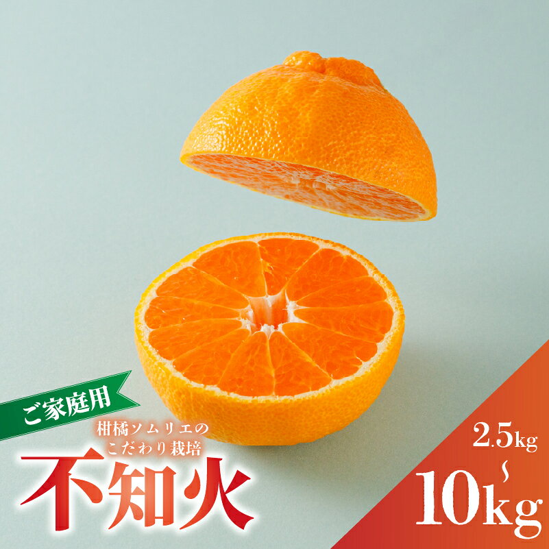 【ふるさと納税】 【数量限定】 不知火（ デコポン と同一品種）家庭用 2.5kg/5kg/10kg 【2027年3月上旬頃から順次発送】 |蜜柑 柑橘 みかん 果物 訳あり くだもの フルーツ おすすめ 高級 人気 お取り寄せ グルメ ギフト 期間限定 数量限定 ご当地 愛媛県 松山市