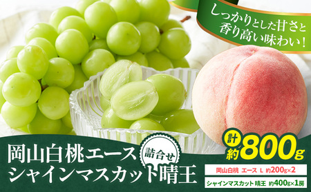 【先行予約】岡山県産 岡山白桃 エース L～3Lサイズ シャインマスカット 計 800g 詰合せ 株式会社 はちや《7月上旬-8月下旬頃出荷》【配送不可地域あり】