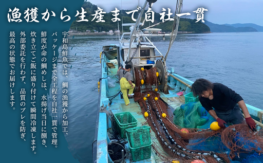 宇和島の鯛めし 1～2人前 8セット 宇和島鮮魚 鯛めし D026-200003