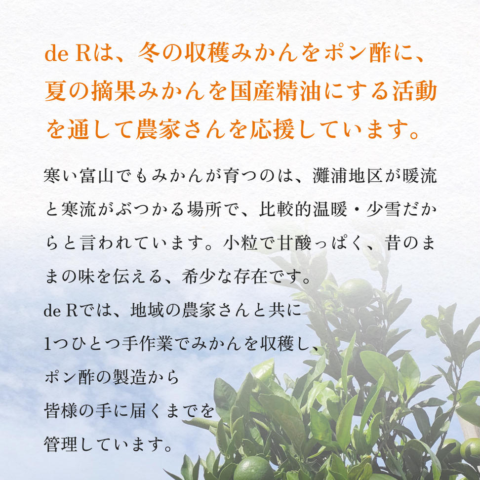氷見のポン酢　灘浦みかん 120mL 富山県 氷見市 ポン酢 調味