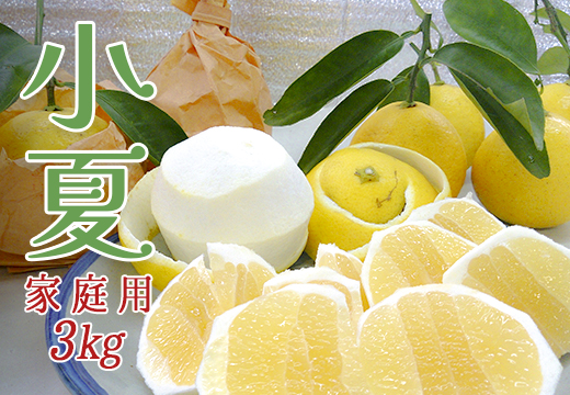 【高知県 大月町産】コーラルフルーツ農場の家庭用 小夏（3kg）