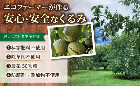 【アルファーム】令和7年産信濃くるみ　殻付きタイプ（Lサイズ）※2025年11月下旬以降発送　くるみくるみくるみくるみくるみくるみくるみ