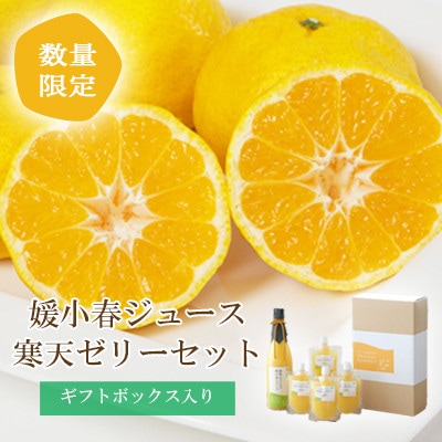 愛媛でしか栽培できない希少柑橘 媛小春(ひめこはる)のジュースと寒天ゼリーセット【D25−84】【1309625】