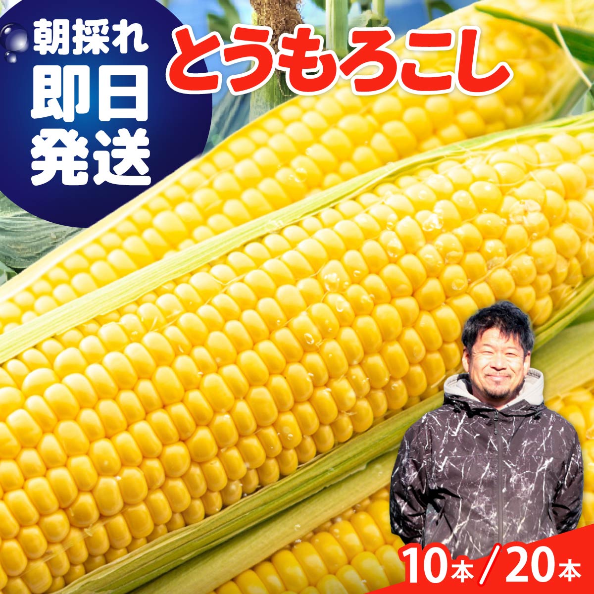 【ふるさと納税】とうもろこし 朝採り 即日発送 極甘トウモロコシ 選べる本数 | ミルキースイート ゴールドラッシュ 新鮮 とれたて 産地直送 甘い 減農薬 野菜ソムリエ みずみずしい 旬野菜 生野菜 サラダ ギフト 贈り物 国産 朝採れ 新鮮野菜 産直 良農園 群馬県 前橋市