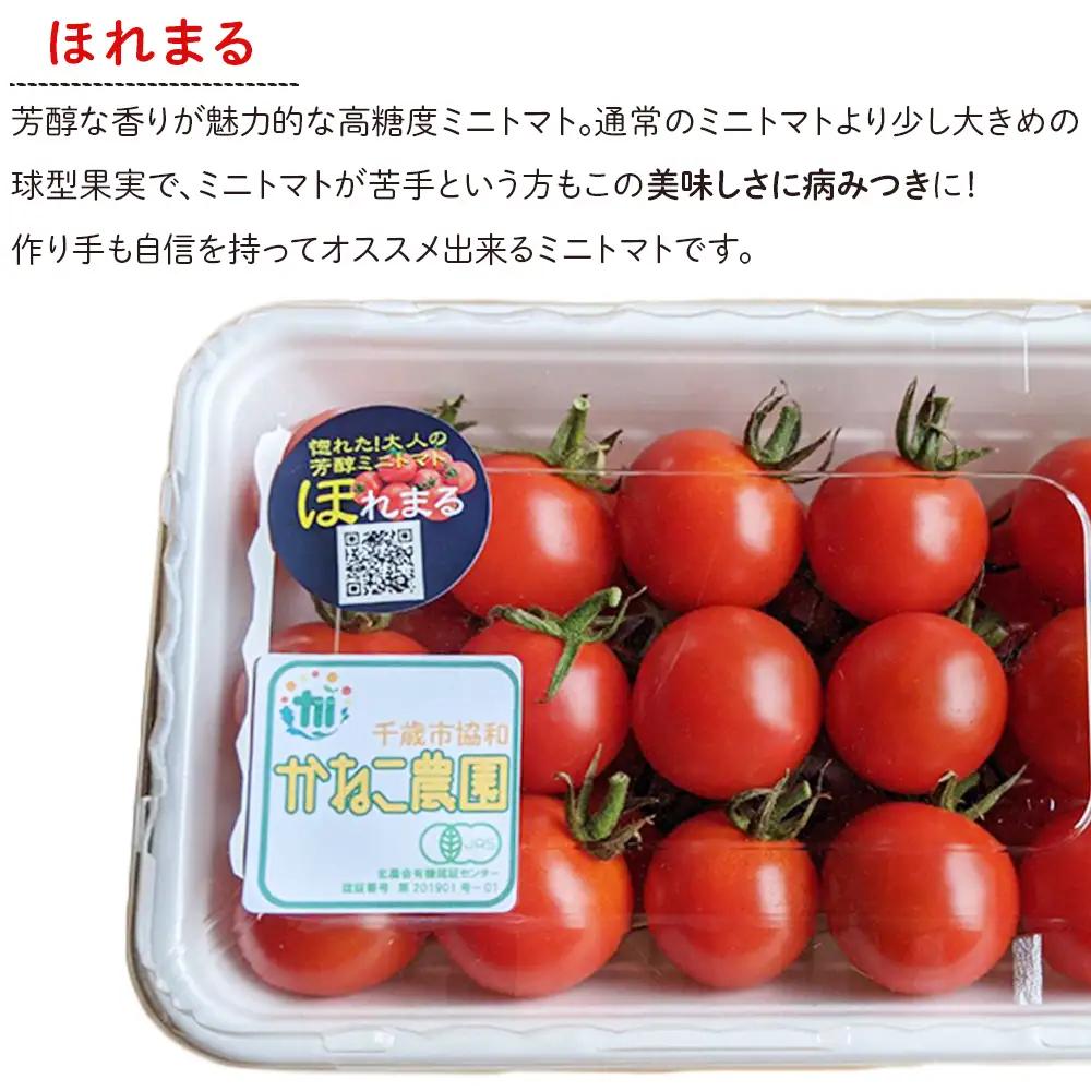【2027年7月下旬より発送】有機ミニトマト2種セット(2kg)【かねこ農園】 トマト 有機 野菜 北海道ふるさと納税