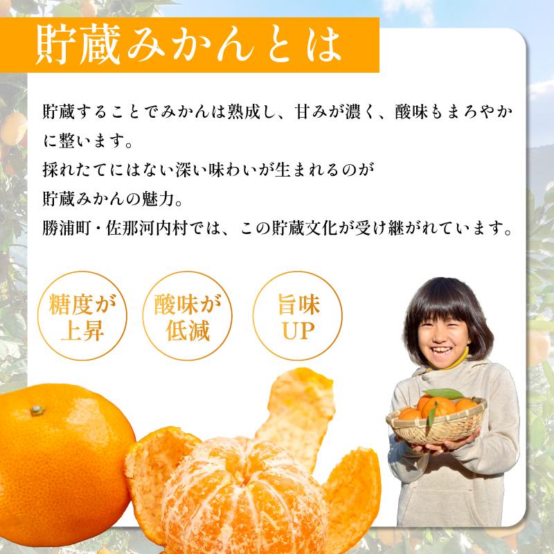 みかん 訳あり 5㎏ 熟成 柑橘 フルーツ 果物 みかん ミカン みかん 蜜柑 訳ありみかん 家庭用 オレンジ 1万円未満 徳島県 勝浦町 佐那河内村