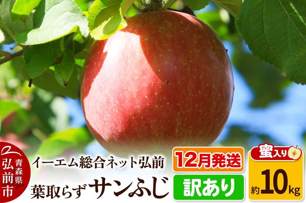 
            りんご【12月発送】【訳あり】葉取らず サンふじ 約10kg 糖度 13度以上【蜜入り】EMりんご
          