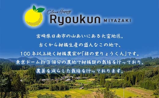 先行予約 みつばちみかん 計3kg以上 傷み補償分入り 期間限定 数量限定 果物 くだもの フルーツ 蜜柑 ミカン 柑橘 オレンジ おやつ デザート みかんジュース 飲み物 小ぶり おすすめ おすそ分