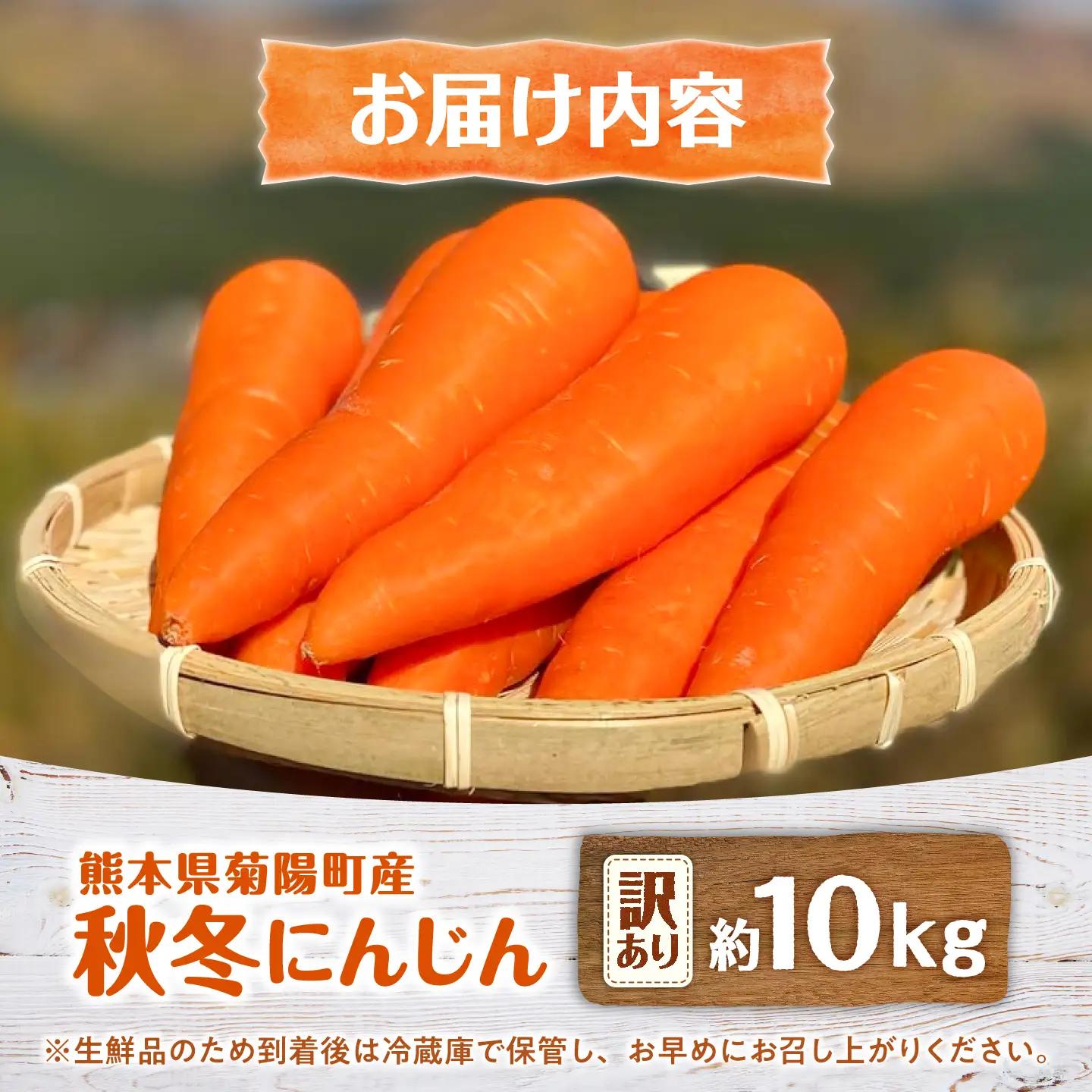 【先行予約】【2026年11月より順次発送】菊陽秋冬にんじん (訳あり) 約10kg / にんじん 菊陽にんじん 秋冬にんじん ニンジン 人参 野菜 熊本 菊陽 【さかもと農園】[BHDL008]