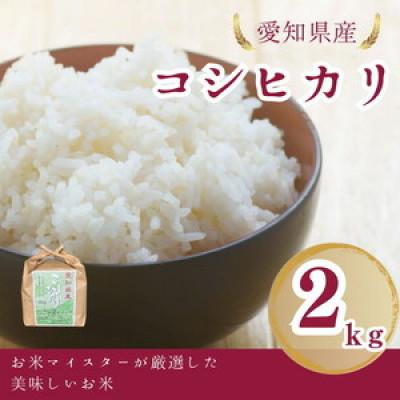 ふるさと納税 美浜町 愛知県産 コシヒカリ 2kg 愛知県 美浜町
