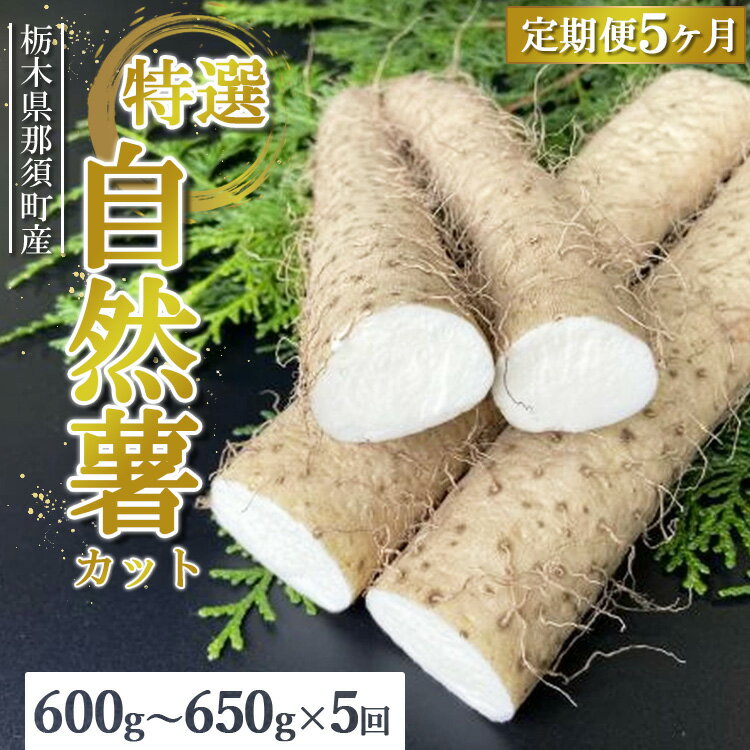 【ふるさと納税】【定期便5ヵ月】那須町産 自然薯（カット）600g～650g ｜とろろ 贈り物 お土産 グルメ 美味しい おいしい 食べ物 那須 栃木県 那須町〔D-61〕