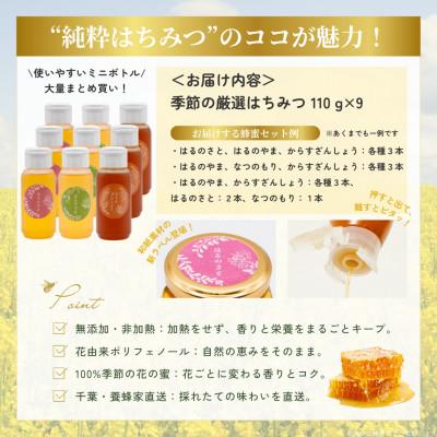 ふるさと納税 大網白里市 千葉県産「厳選純粋はちみつ」110gボトル×9本【ランダムにセレクト】 |  | 03