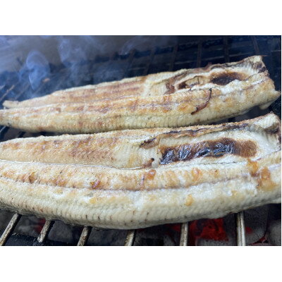 【ふるさと納税】【国産うなぎ】特大サイズ180g-220g　三河一色産　2尾　炭火白焼き【配送不可地域：離島】【1659392】