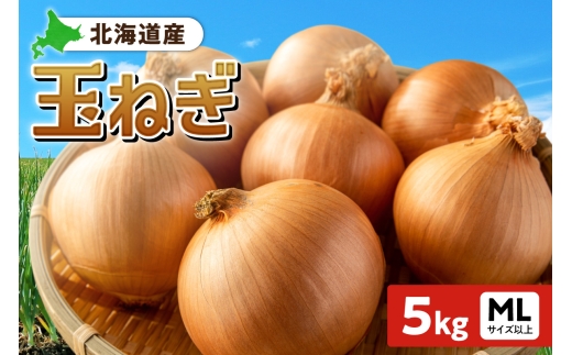 玉ねぎ 北海道産 5kg MLサイズ以上