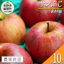 りんご 10Kg サンふじ 訳あり 長野県産 