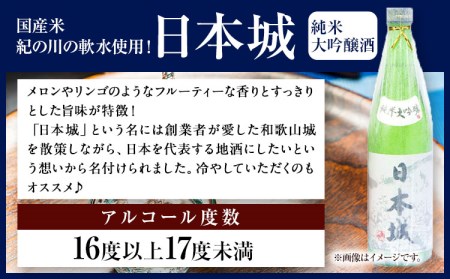 日本城 根来 飲み比べセット 720ml×2本 日本酒 酒