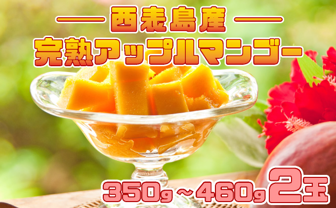 2026年 先行予約 完熟 アップルマンゴー 2L 350g～460g 2玉 マンゴー 果物 デザート 品評会連続入賞2026年 発送 ますみ農園