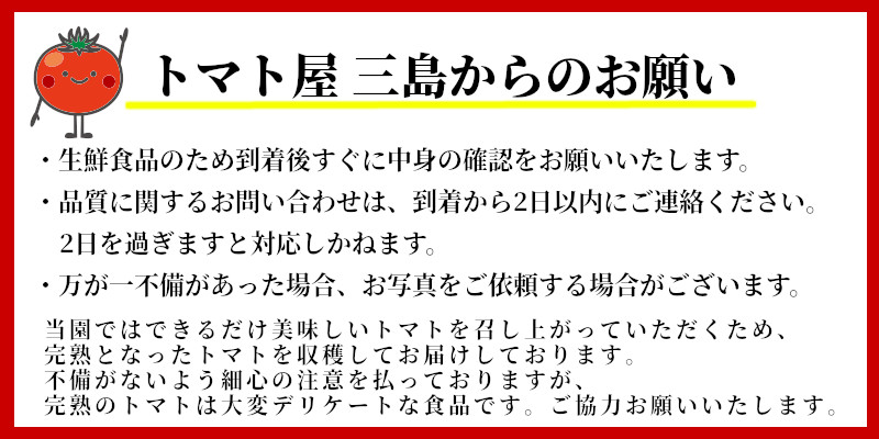 【訳あり】 この道40年の農家から直送 完熟！桃太郎トマト15～24玉　H139-017